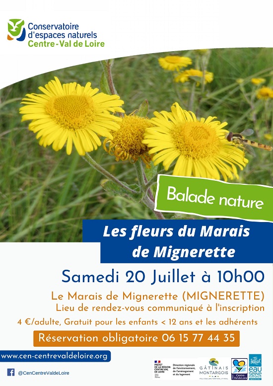 Balade nature : "Les Fleurs du Marais de Mignerette" null France null null null null