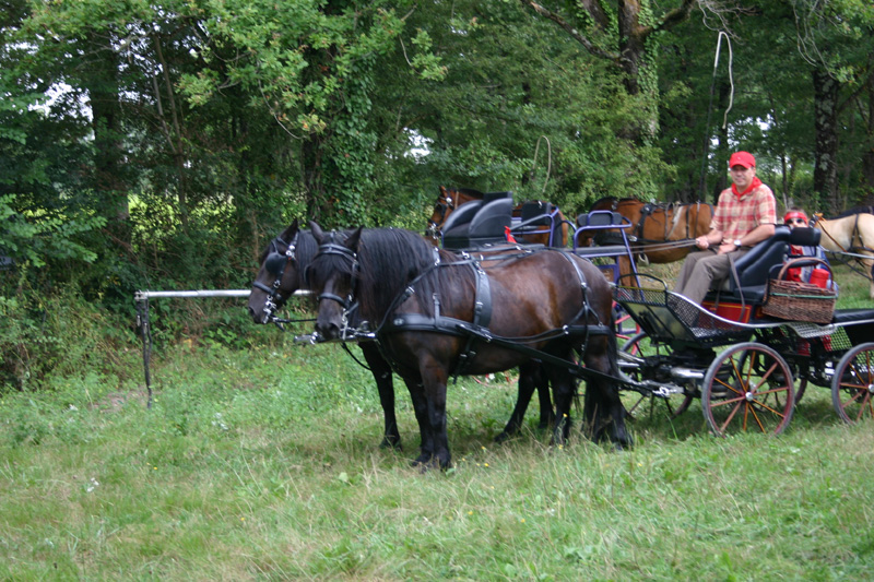 La Brenne à cheval : En passant par la maison du Parc (circuit à la journée)