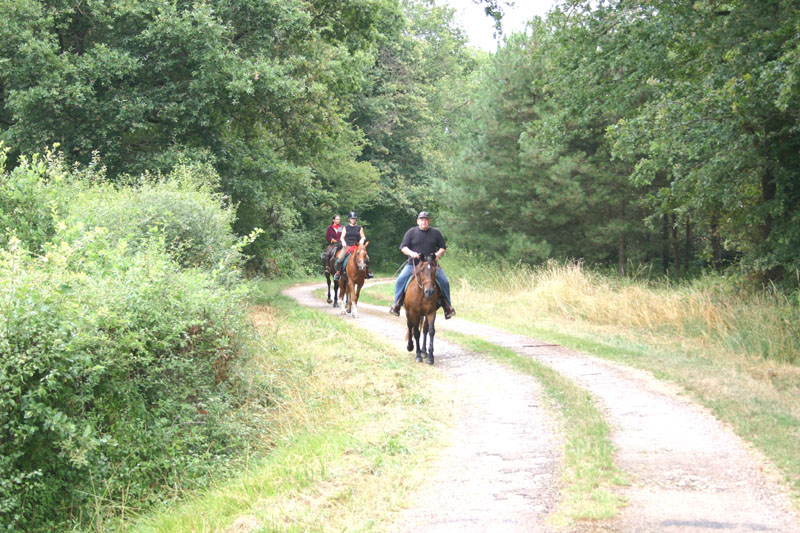 La Brenne à cheval : En passant par la maison du Parc (circuit à la journée), Rosnay - photo 3