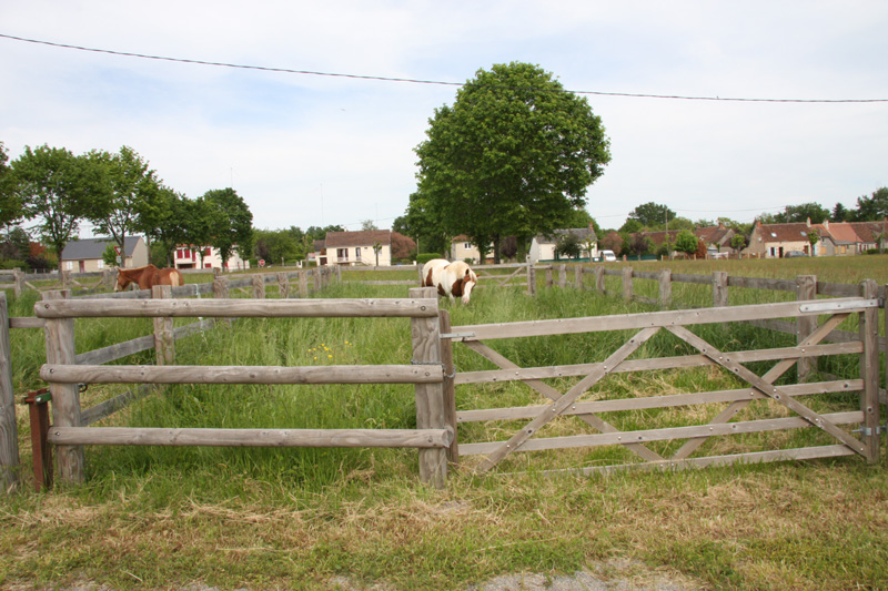 La Brenne à cheval : circuits en marguerite au départ du domaine de la Crapaudine