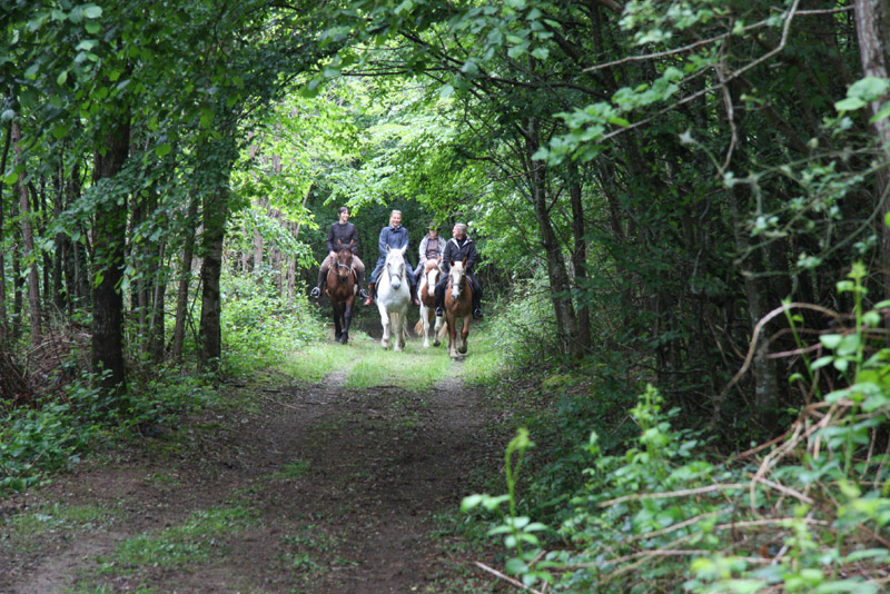 La Brenne à cheval : le bocage de la Petite Brenne en trois jours, Ruffec