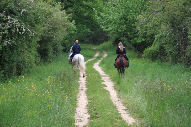 La Brenne à cheval : le bocage de la Petite Brenne en deux jours, Ruffec