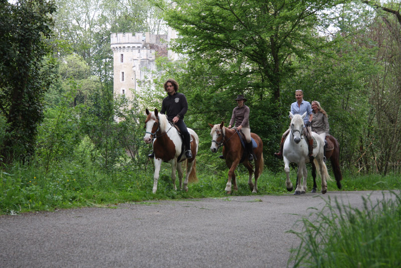 La Brenne à cheval : le bocage de la Petite Brenne en trois jours