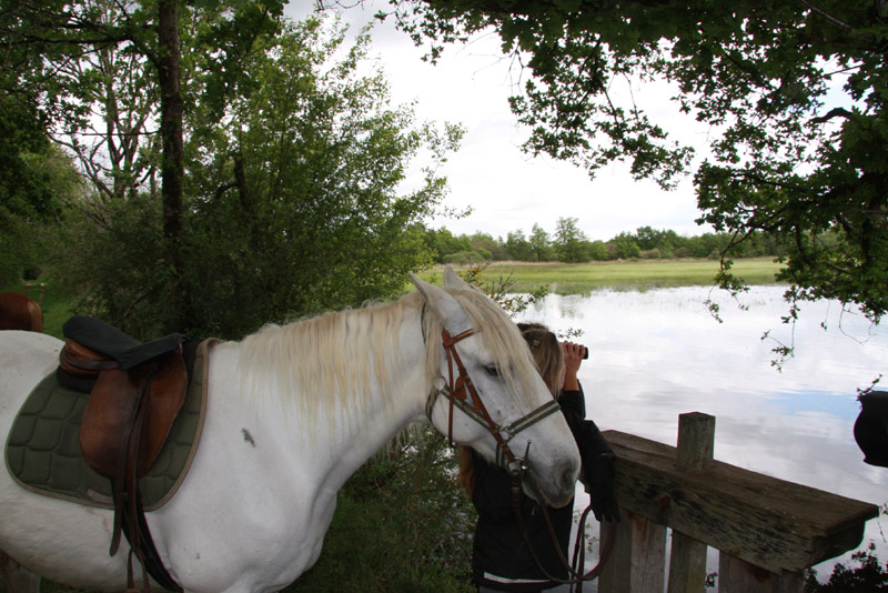 La Brenne à cheval : Grand tour des étangs de la Brenne en 3 jours, Mézières-en-Brenne - photo 2