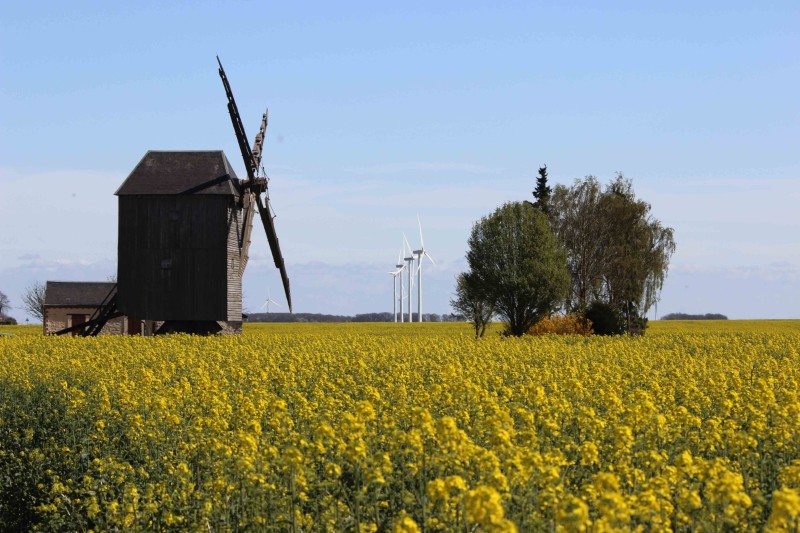 Grand moulin de Ouarville