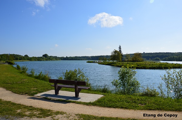 Camping des Rives du Loing, Cepoy - photo 7