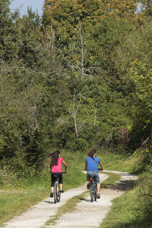 Itinéraire vélo n°1 - Balade à l'étang de la Mer Rouge, Rosnay - photo 2