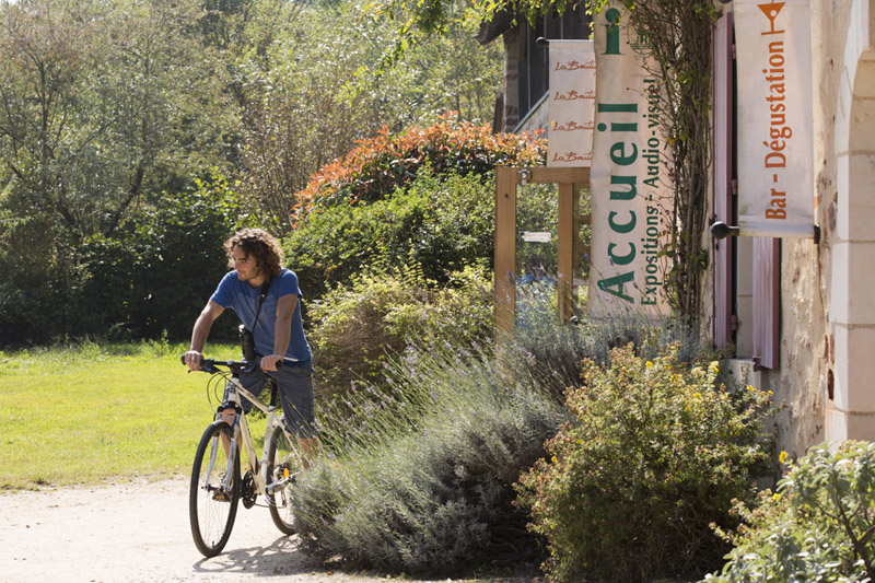 Circuit VTT - De Bellebouche à la Maison du Parc, Saint-Michel-en-Brenne - photo 3