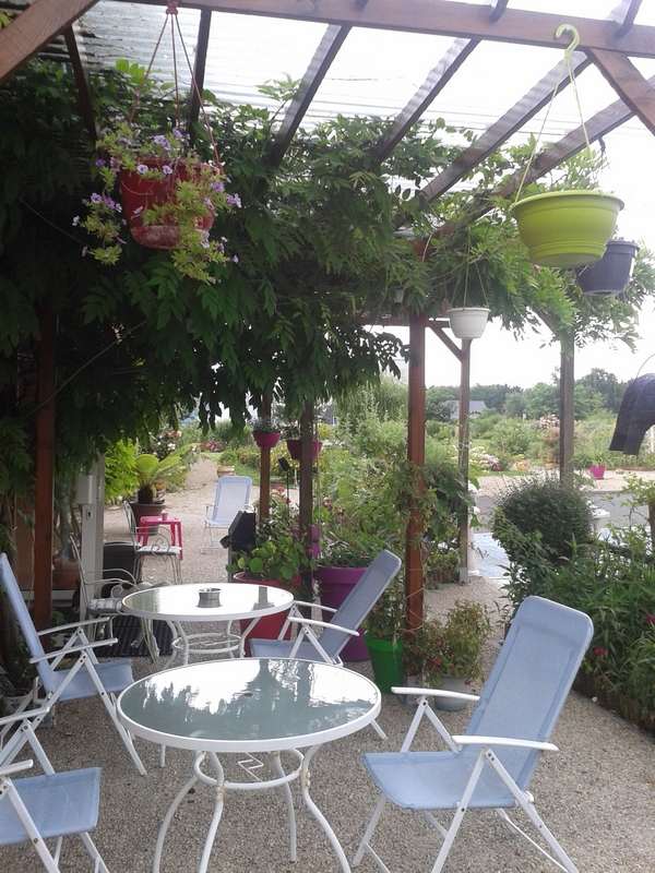 Au Sans Souci, Chinon - photo 5