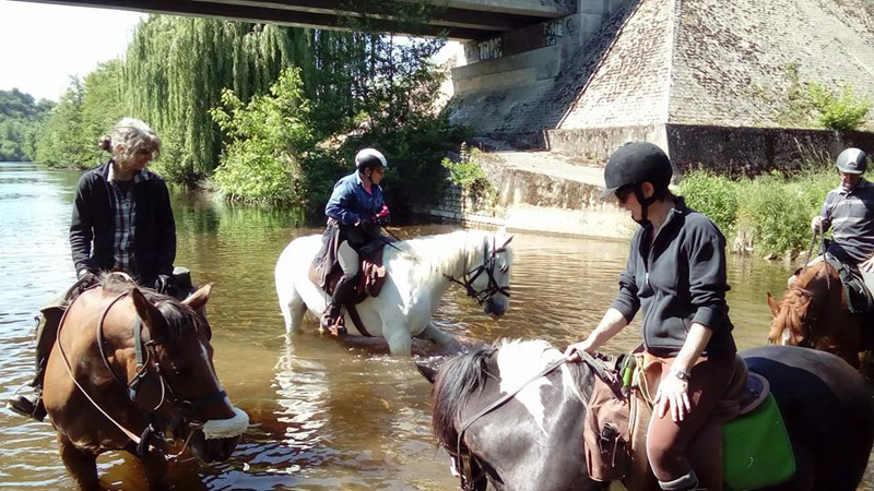 La Brenne à cheval : circuits en marguerite au départ du Manoir de Saint-Victor, Ingrandes - photo 3