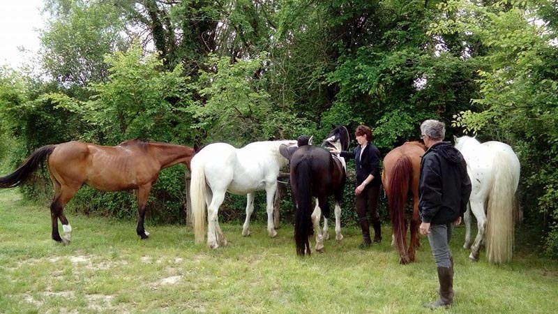 La Brenne à cheval : Entre Benaize et Anglin (circuit à la journée), Saint-Hilaire-sur-Benaize - photo 2