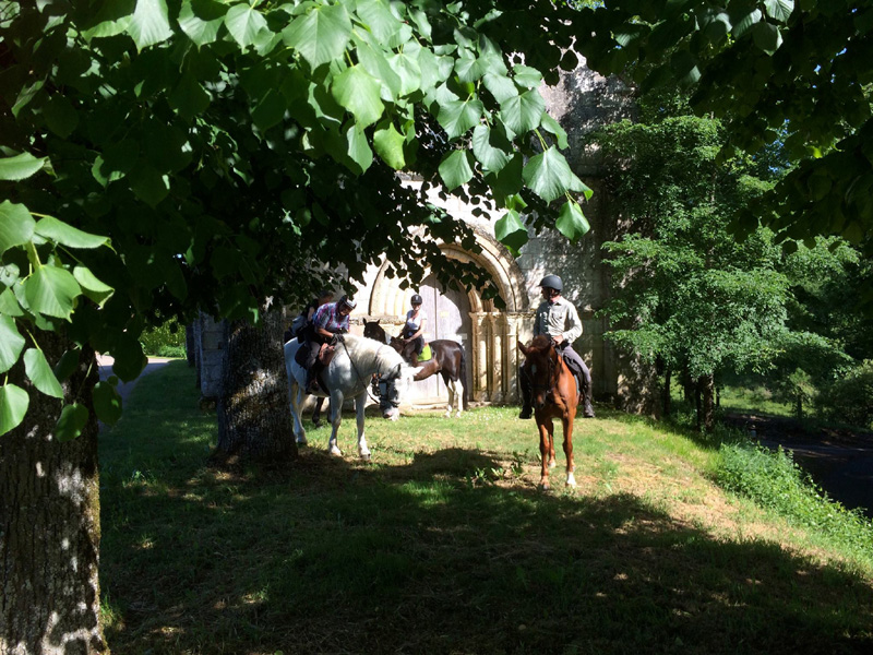 La Brenne à cheval : circuits en marguerite au départ du Manoir de Saint-Victor, Ingrandes - photo 2