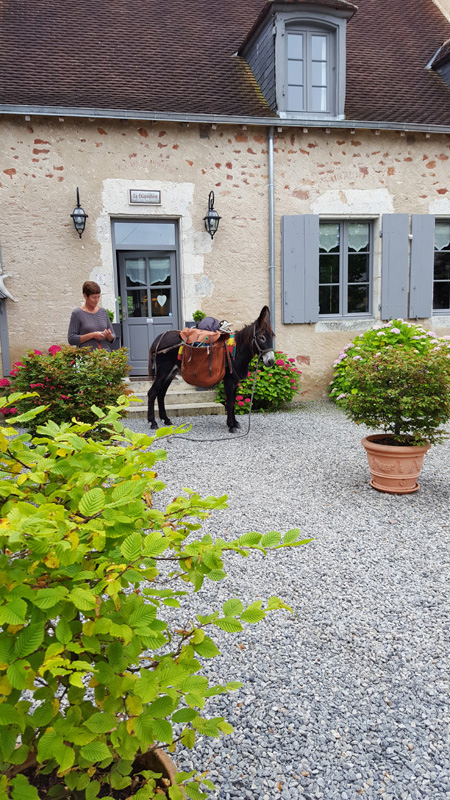 La Brenne à cheval : circuits en marguerite au départ du domaine de la Crapaudine, Rosnay