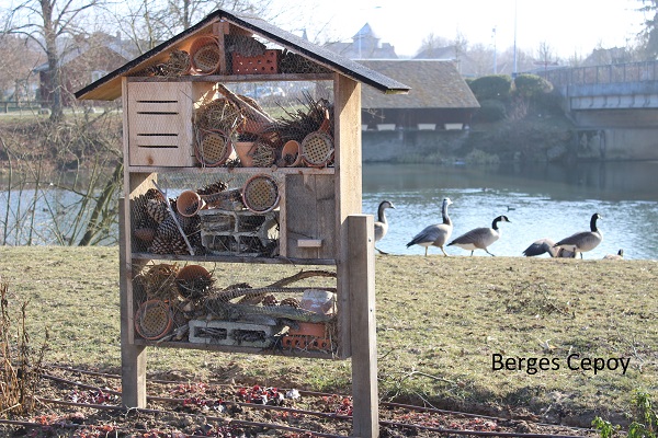 Camping des Rives du Loing, Cepoy - photo 15
