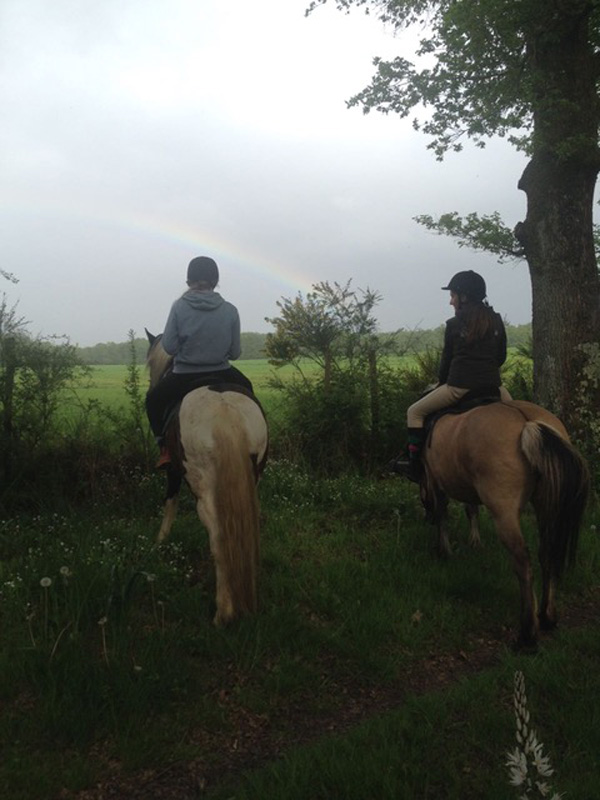 La Brenne à cheval :  En passant par la forêt de Luzeret (circuit à la journée) -, Luzeret - photo 3