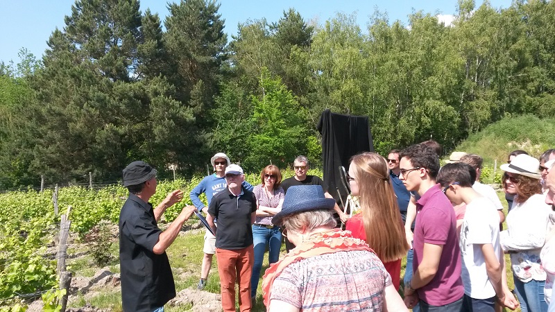 Activités Oenotouristiques au Domaine Sauvète, Monthou-sur-Cher - photo 3