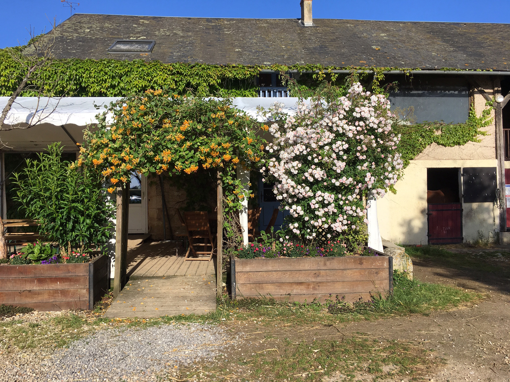 La Brenne à cheval : circuits en marguerite au départ du centre équestre et gîte de l'Epineau, Ruffec - photo 5