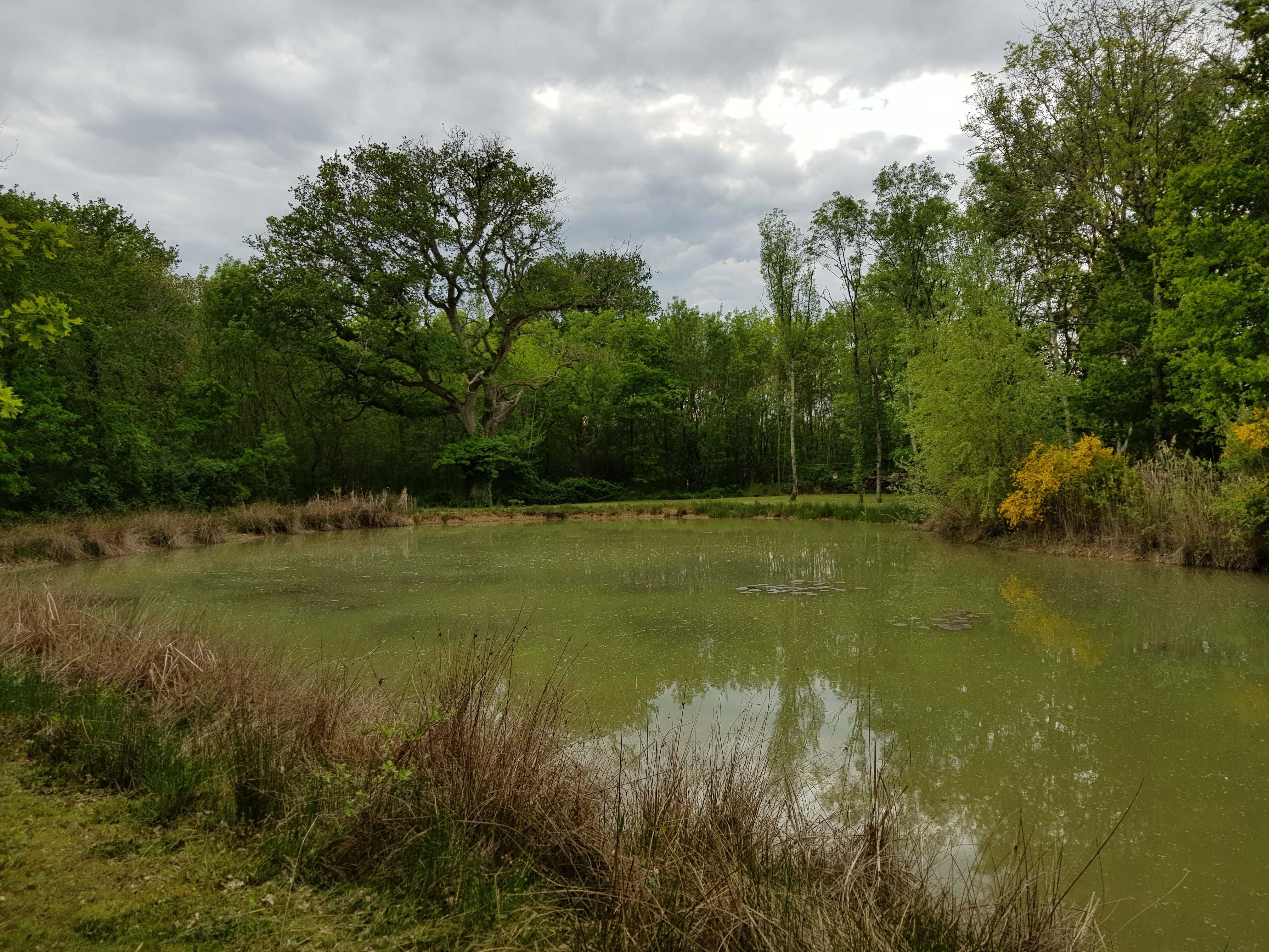 Les Ilons, Saint-Michel-en-Brenne - photo 7