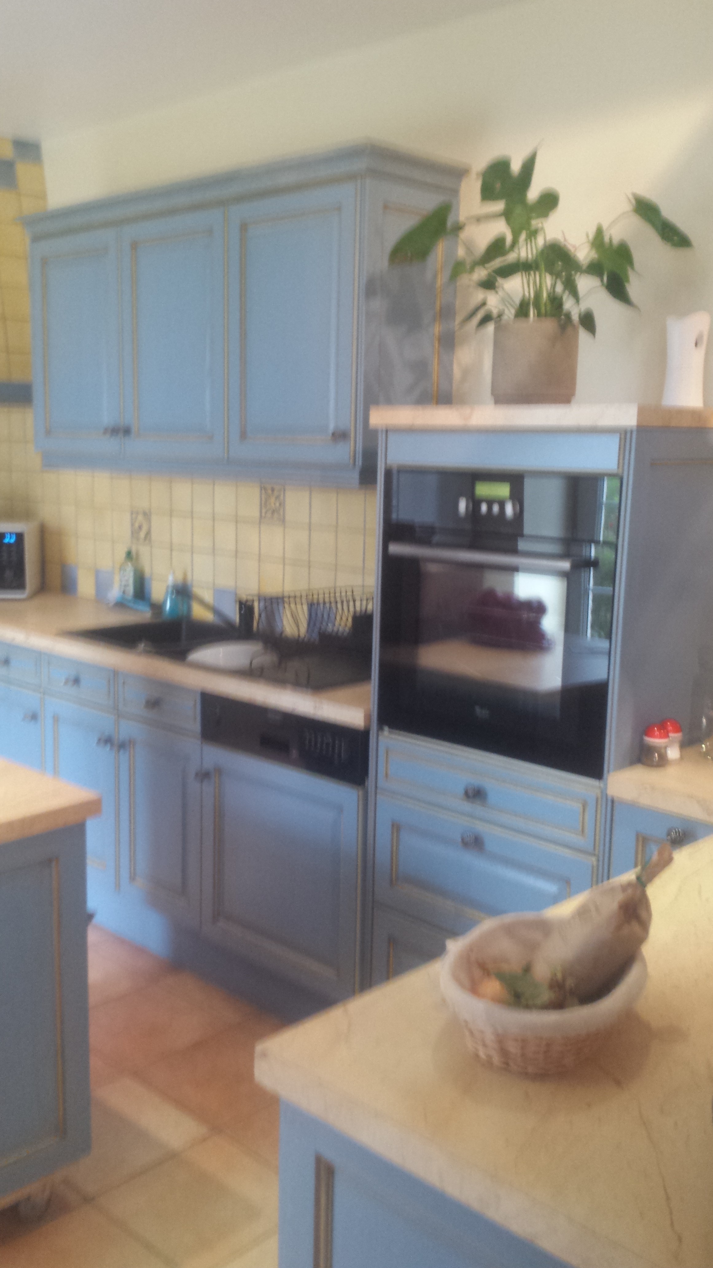 Le gîte d'Alice, La Chapelle-Saint-Martin-en-Plaine - photo 5