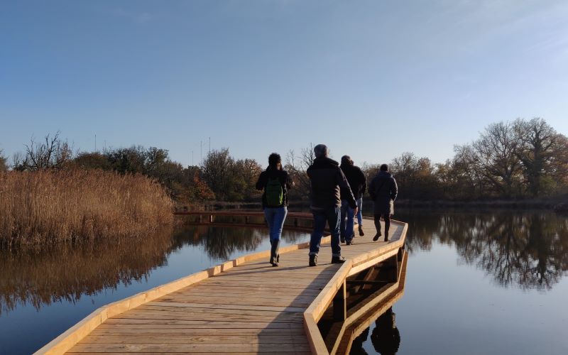 Passerelle de Valmicky (Réserve naturelle régionale Terres et étangs de Brenne Massé-Foucault), Rosnay - photo 2
