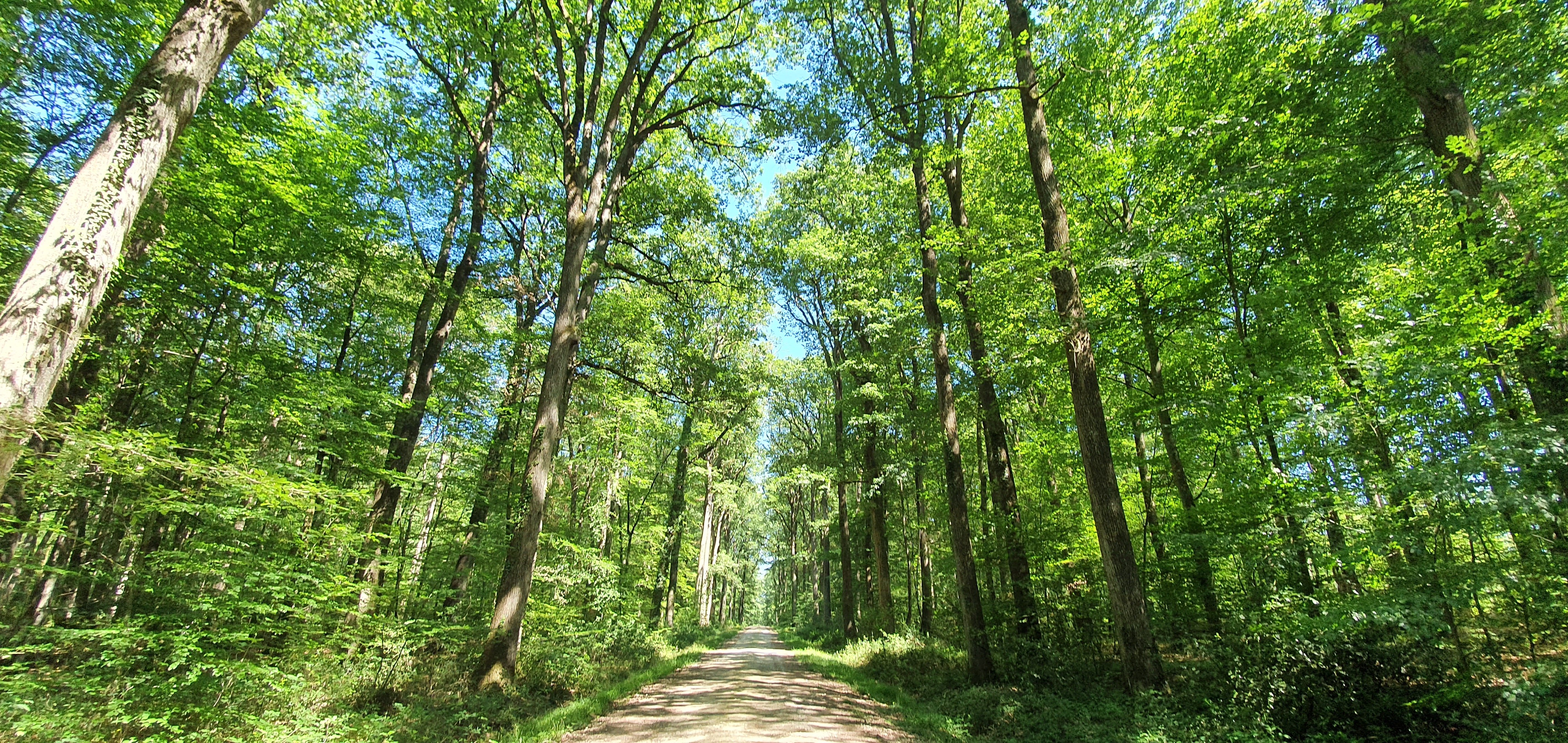 En selle pour Montrésor
