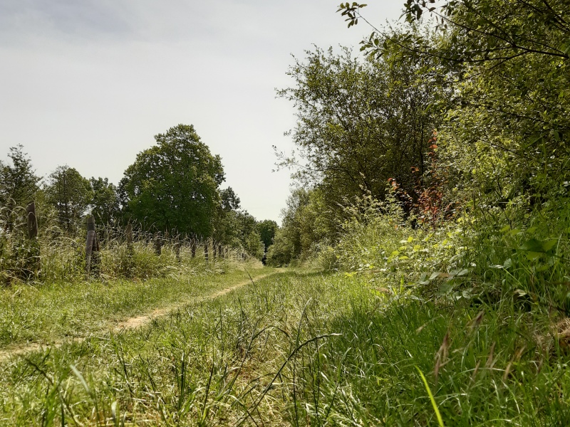 Randonnée de la rivière aux coteaux du Val de Choisille, Saint-Cyr-sur-Loire - photo 7