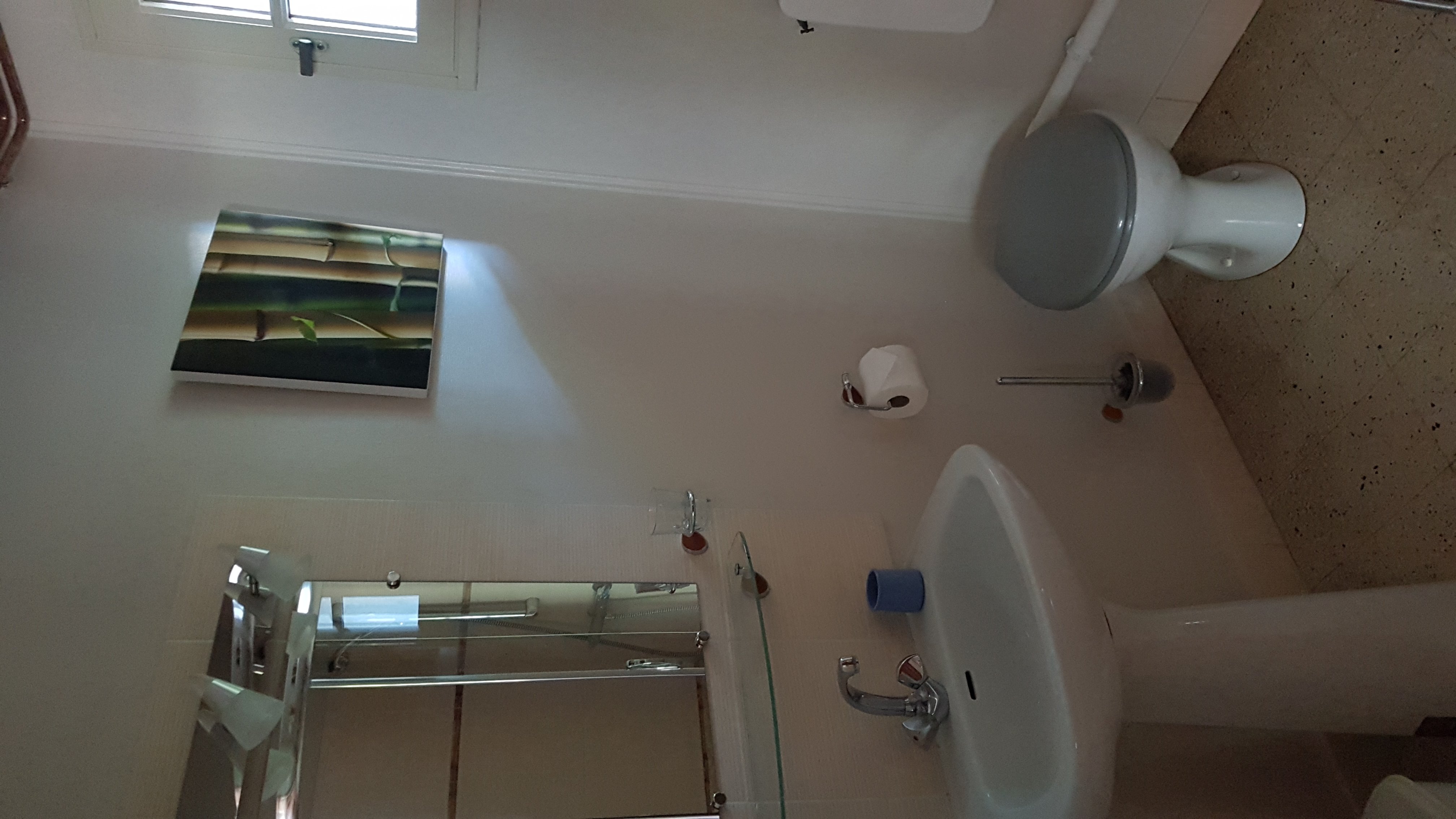 Les Bambous, Crouy-sur-Cosson - photo 3