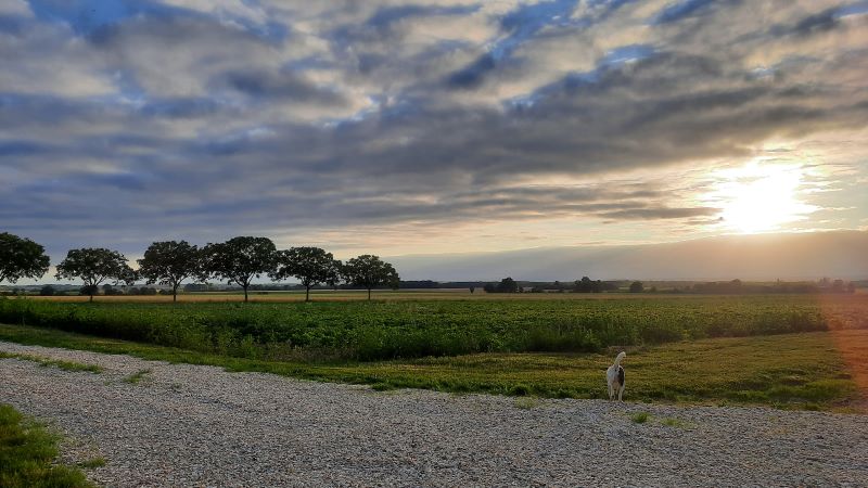 Domaine de Chaillauroy, piscine intérieure chauffée, Buzançais - photo 14