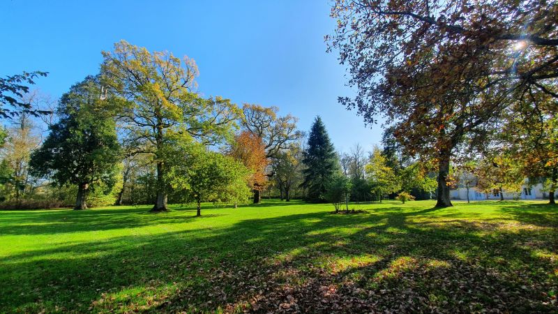 Domaine de Chaillauroy, piscine intérieure chauffée, Buzançais - photo 20