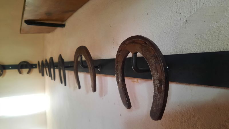 Les Ecuries de Saint-Pierre, Levroux - photo 13