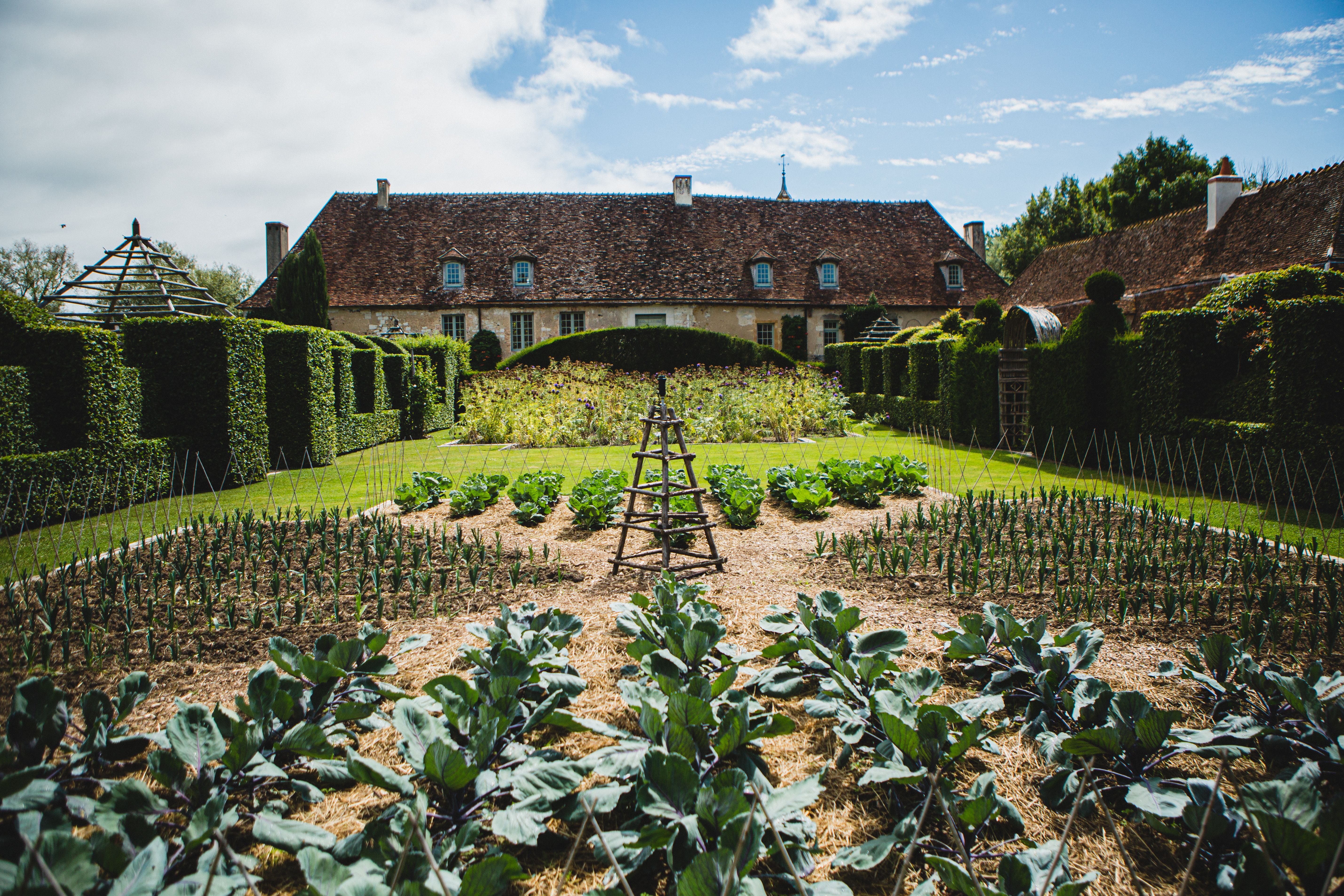 Les Jardins du Prieuré Notre-Dame d'Orsan, Maisonnais - photo 5