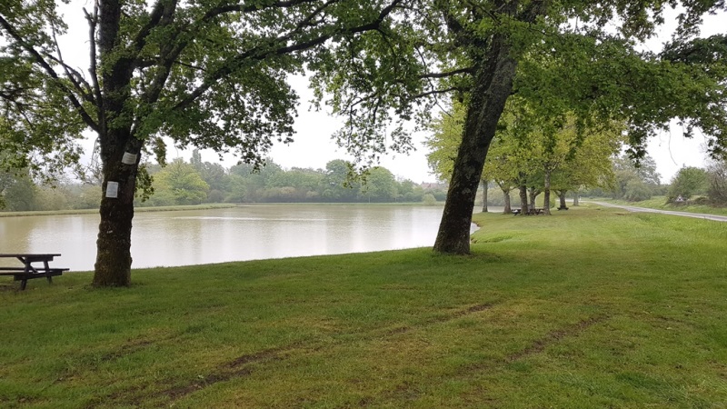 Pêche à l'étang communal