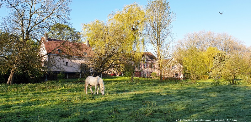 Domaine du Moulin Neuf - Gîte La Bergerie, Chassant - photo 28