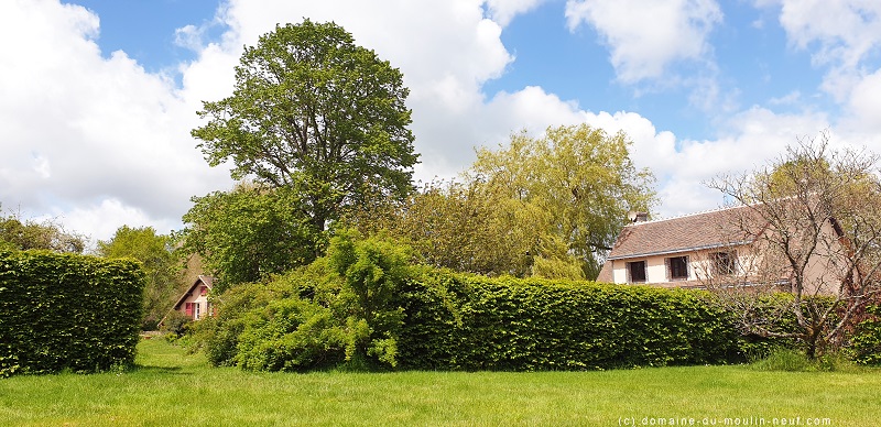Domaine du Moulin Neuf - Gîte La Bergerie, Chassant - photo 39