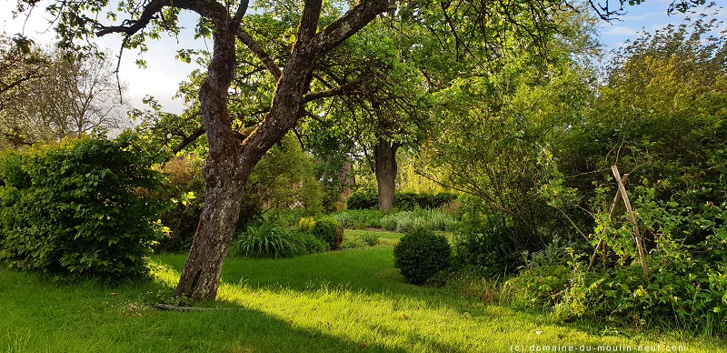 Domaine du Moulin Neuf - Gîte La Bergerie, Chassant - photo 12