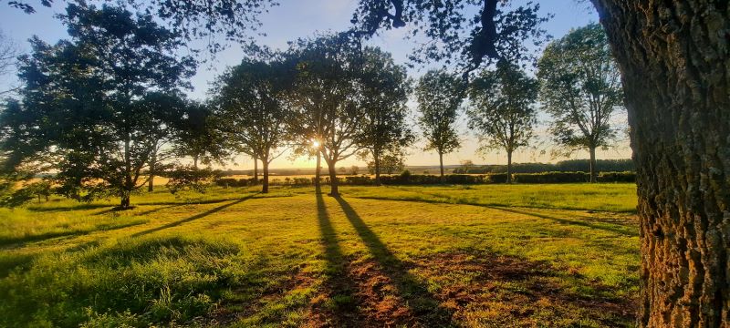 Domaine de Chaillauroy, piscine intérieure chauffée, Buzançais - photo 3