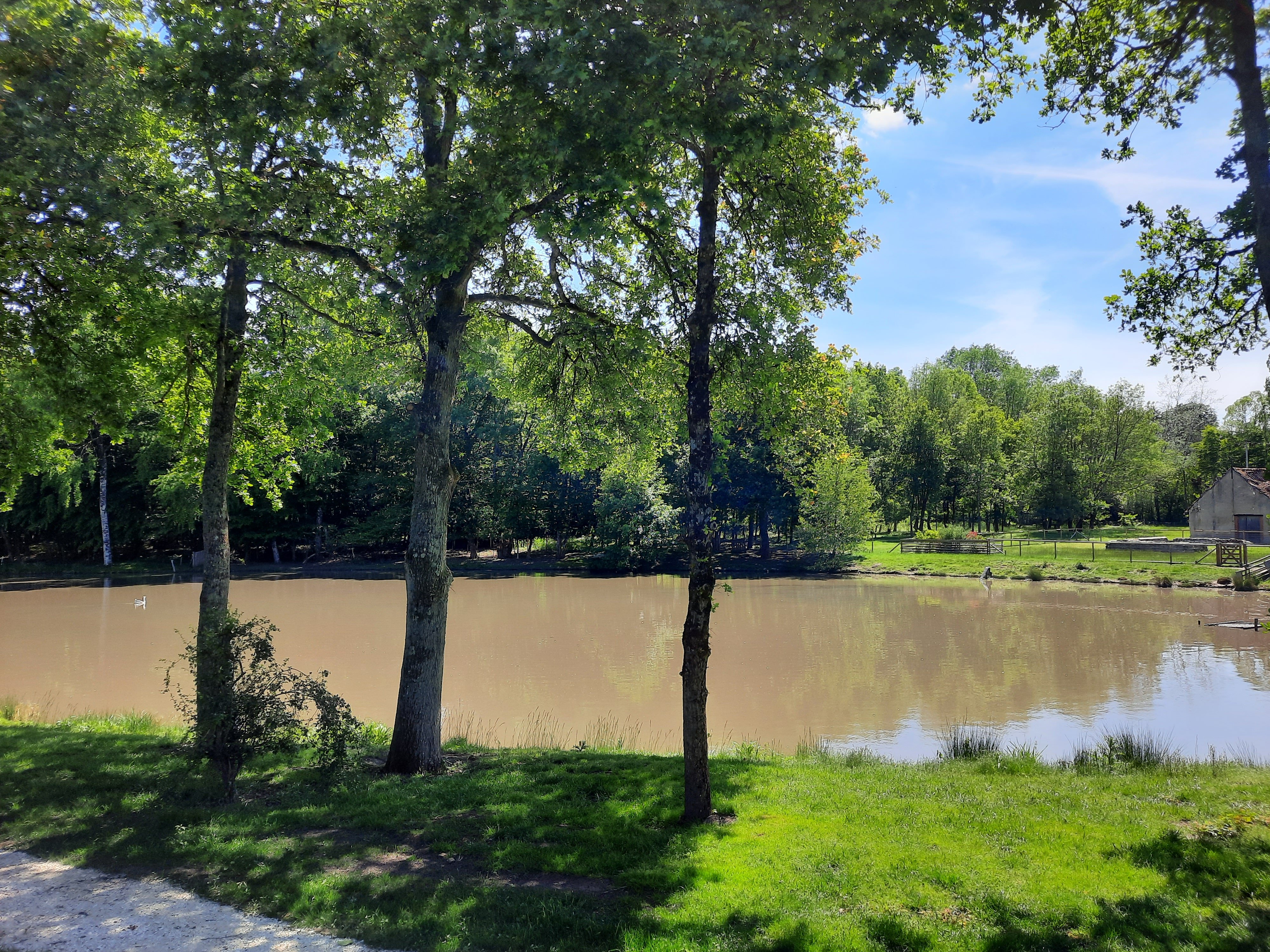 Java - Ferme des poulardières, Crouy-sur-Cosson - photo 3