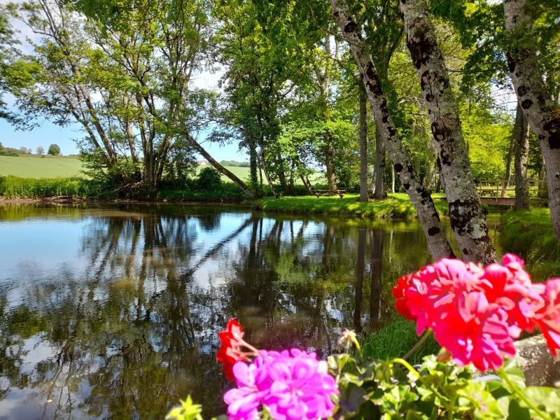 Moulin d'Angibault, Montipouret
