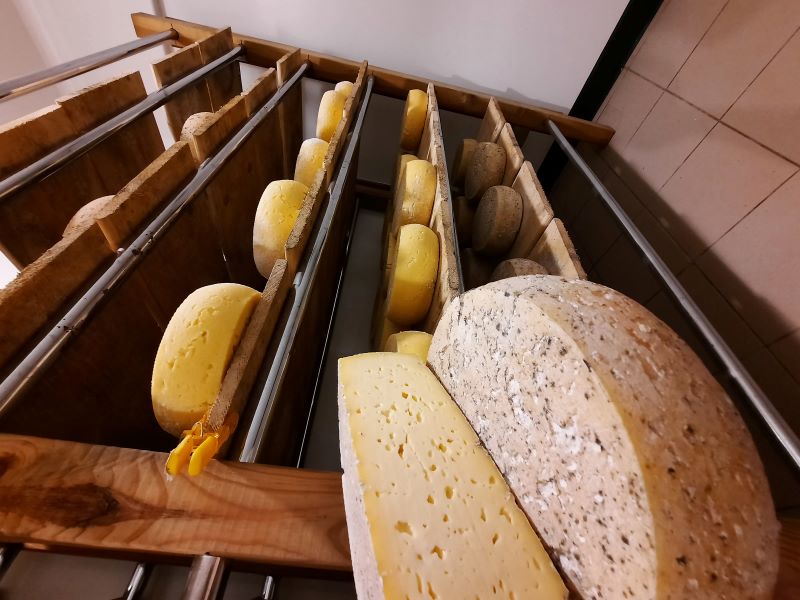 Ferme du Maupas La Vache Brennouse