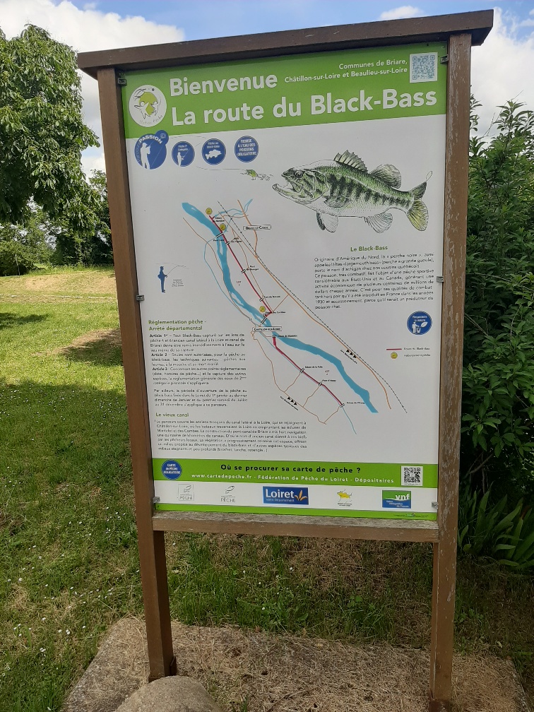 Pêche sur la route du Black Bass