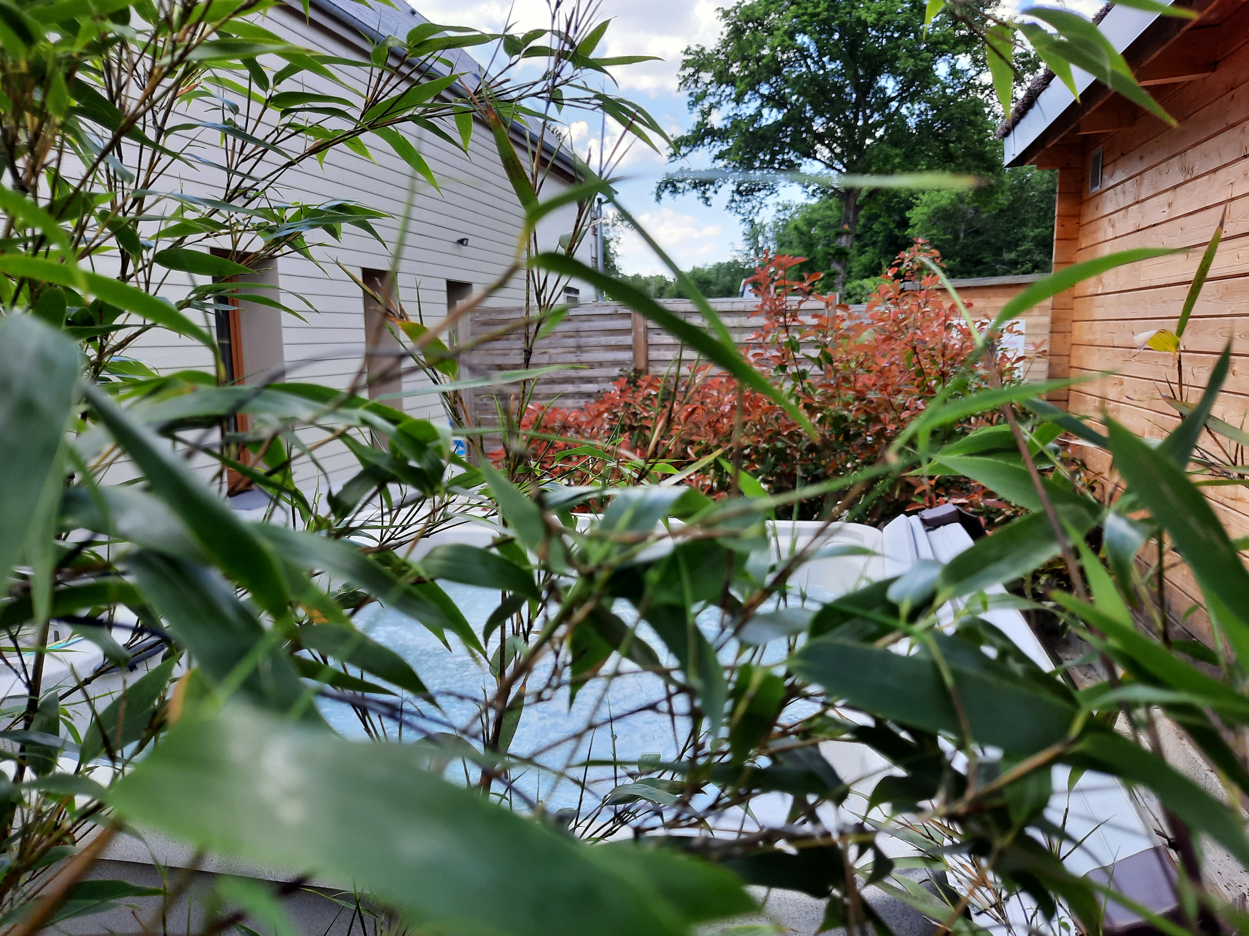 Cochin - Ferme des poulardières, Crouy-sur-Cosson - photo 3