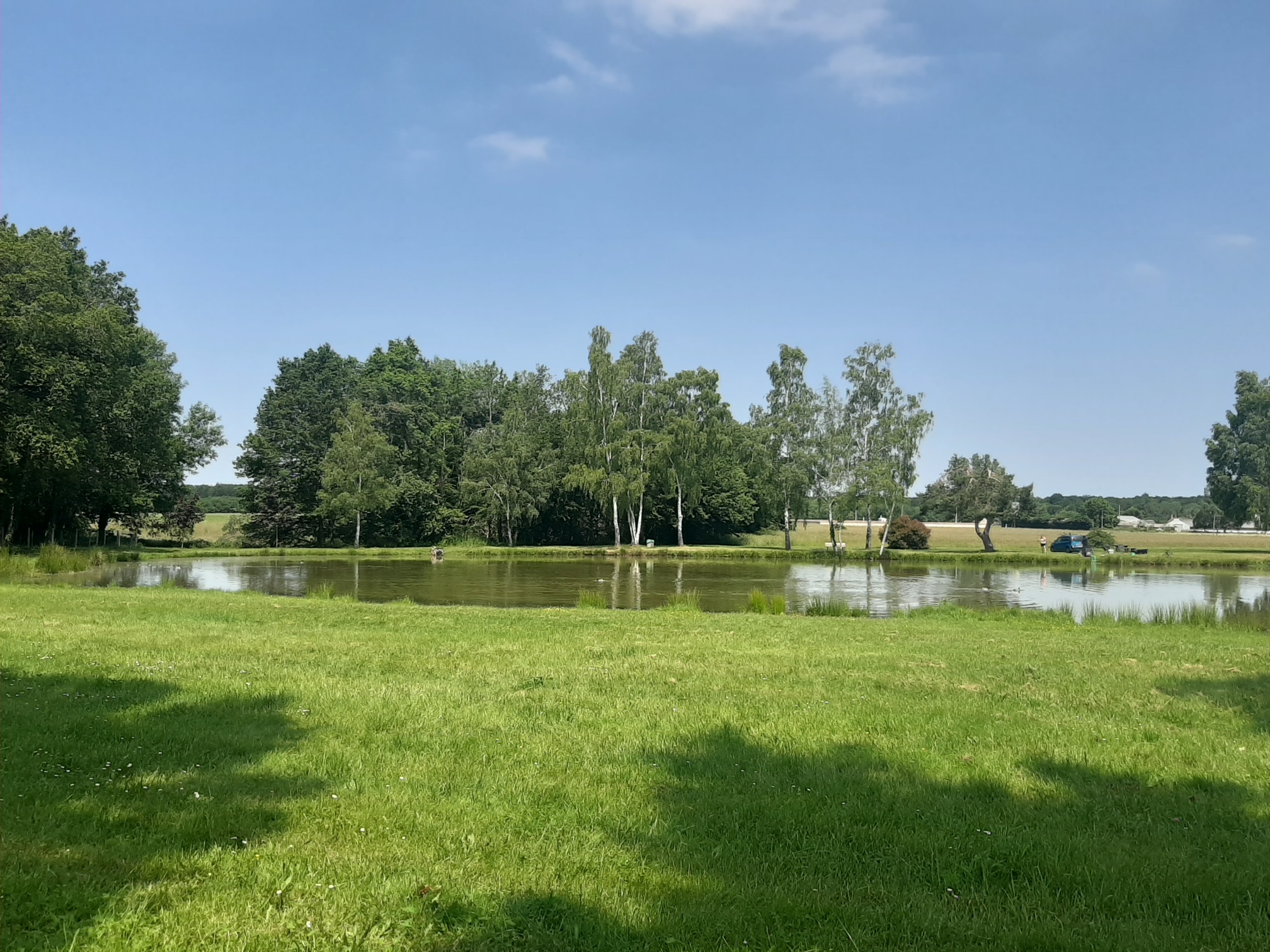 Pêche à l'étang communal de Nesploy