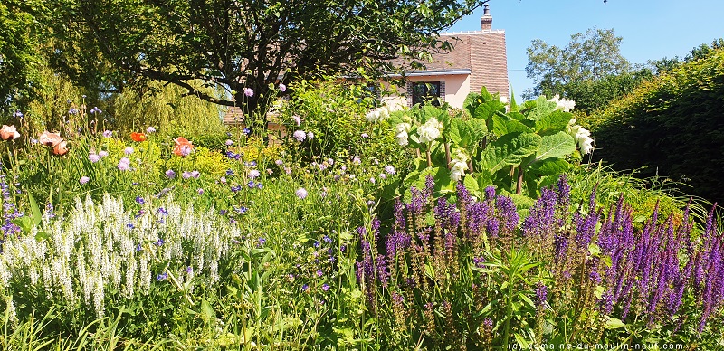 Domaine du Moulin Neuf - Gîte La Bergerie, Chassant - photo 34