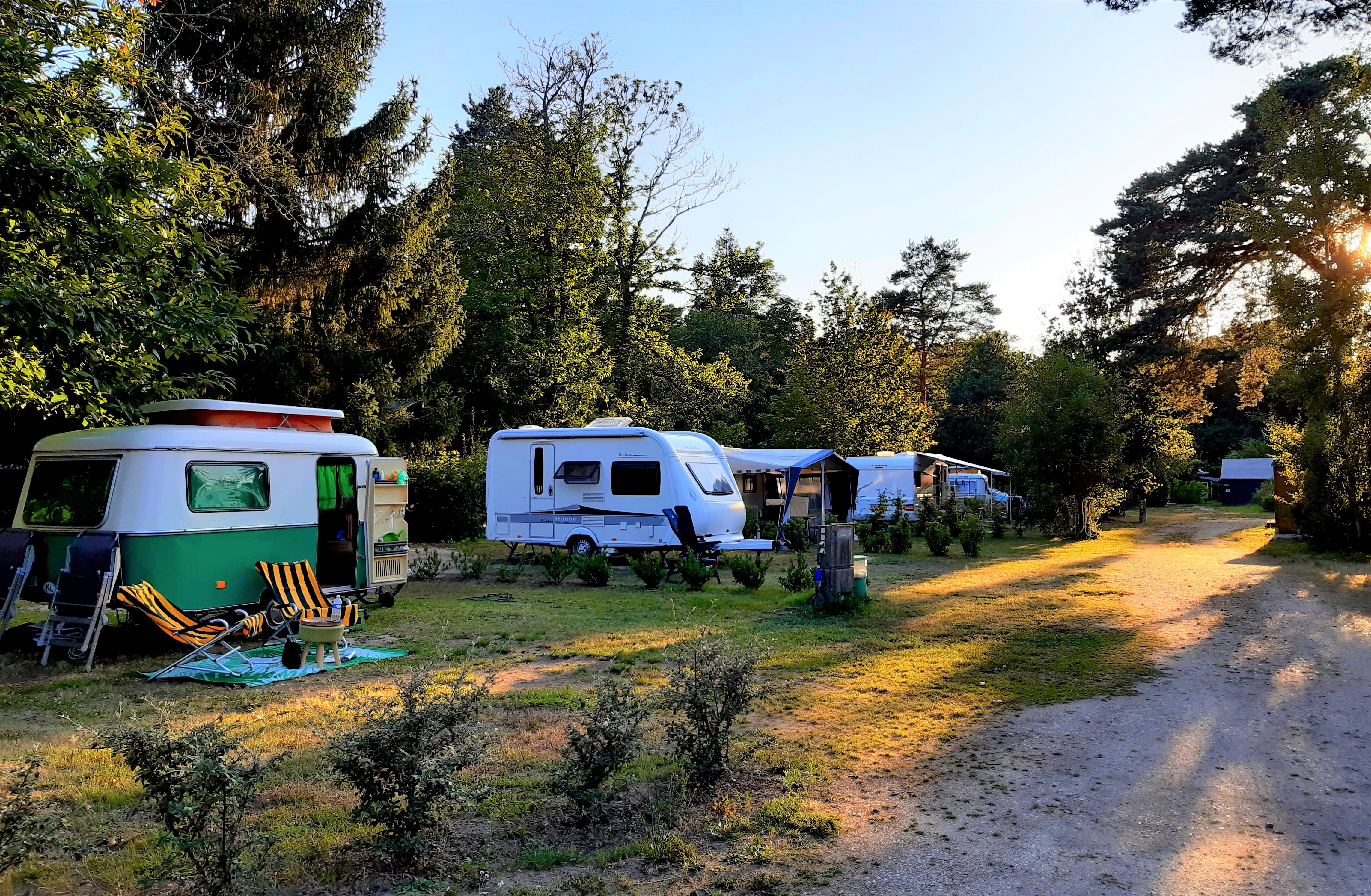 Camping naturiste Les Bogues, Saint-Cyr-en-Val - photo 3