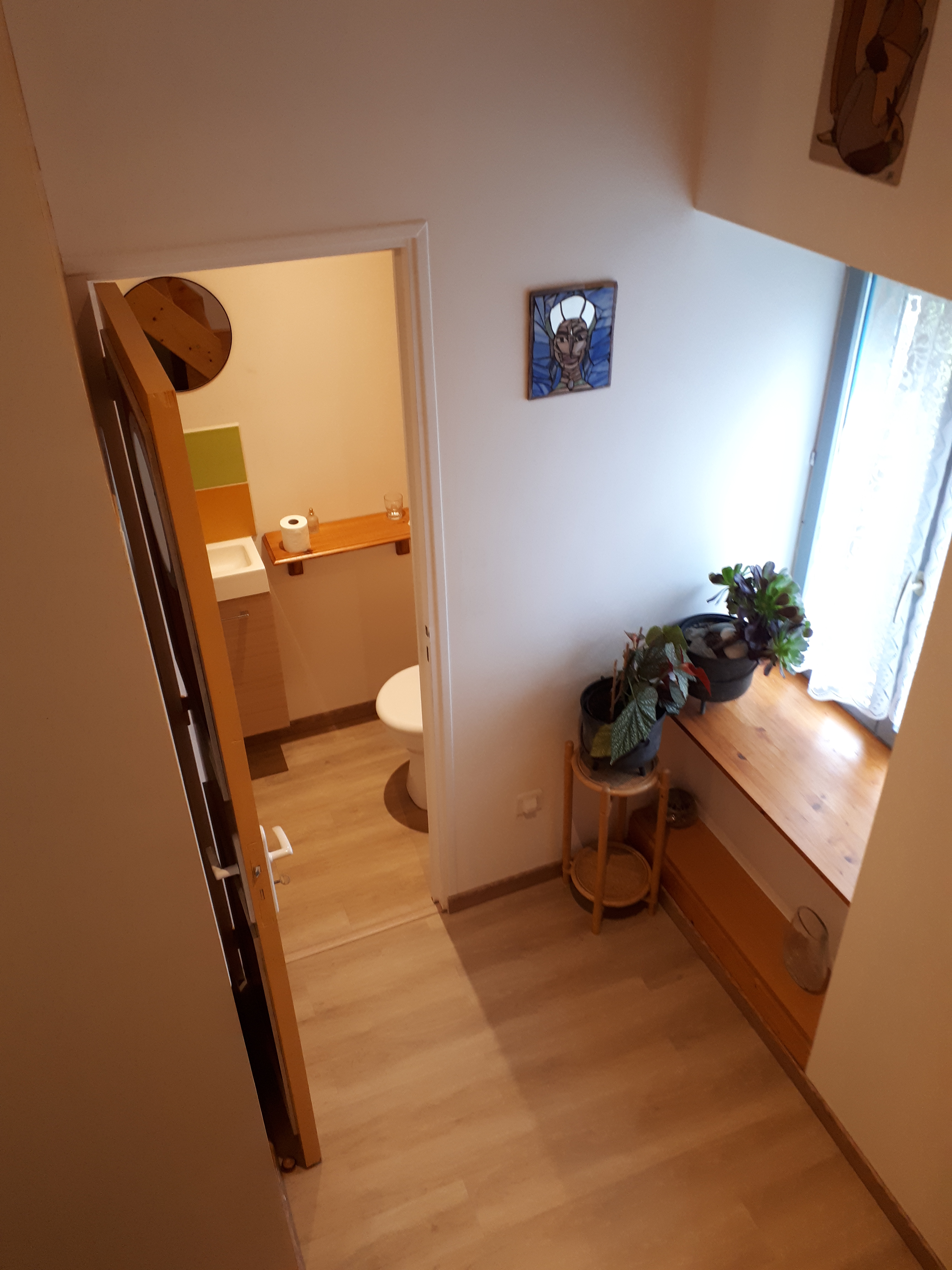 Les Myosotis en Berry, Celon - photo 7