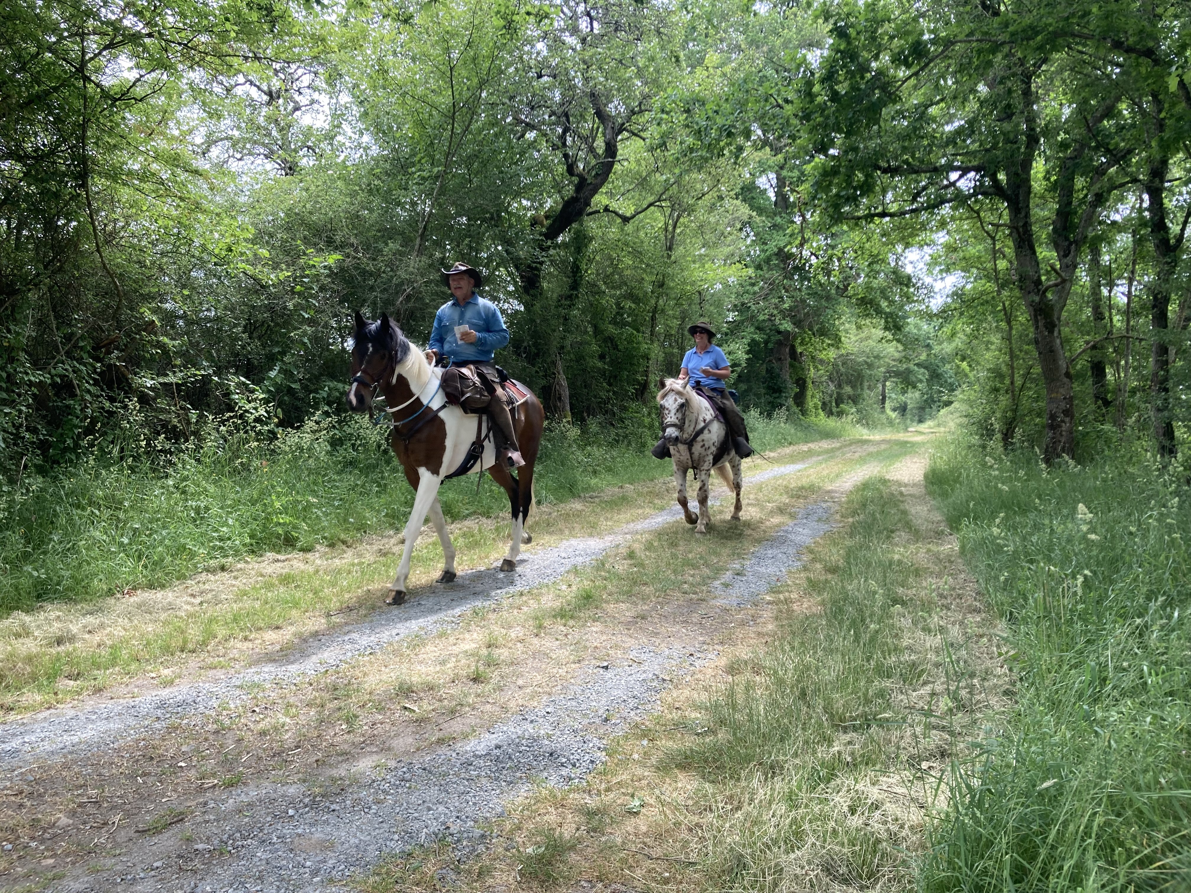 La Brenne en gravel : Route Européenne d'Artagnan