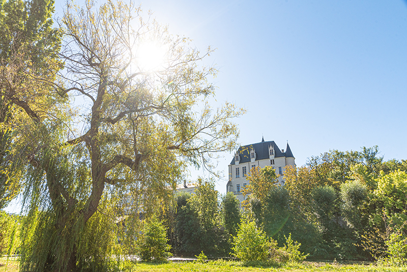 Prairie Saint-Gildas, Châteauroux - photo 5