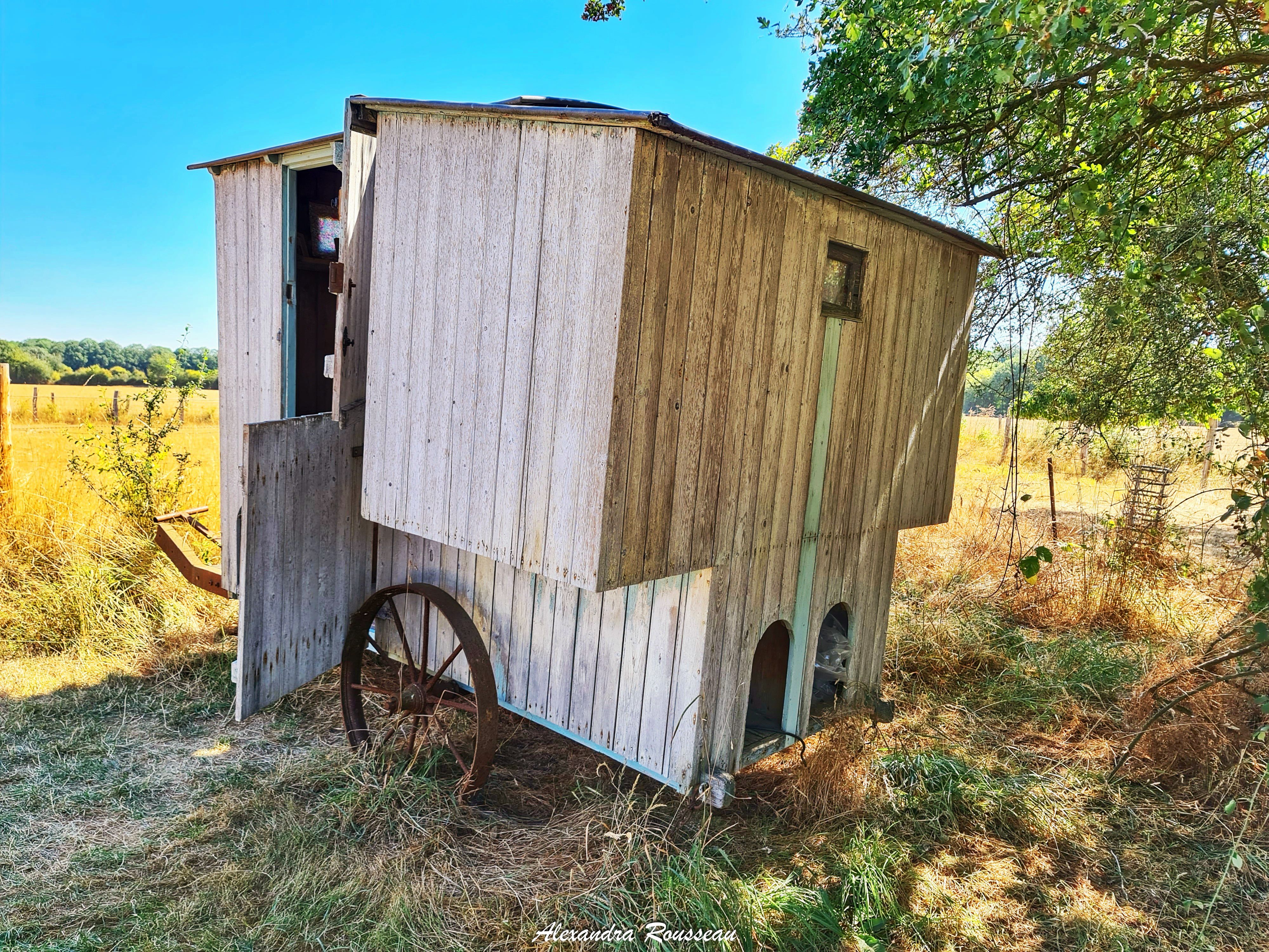 Manoir du Bois Joly - Cabanes de berger, Arcisses - photo 22