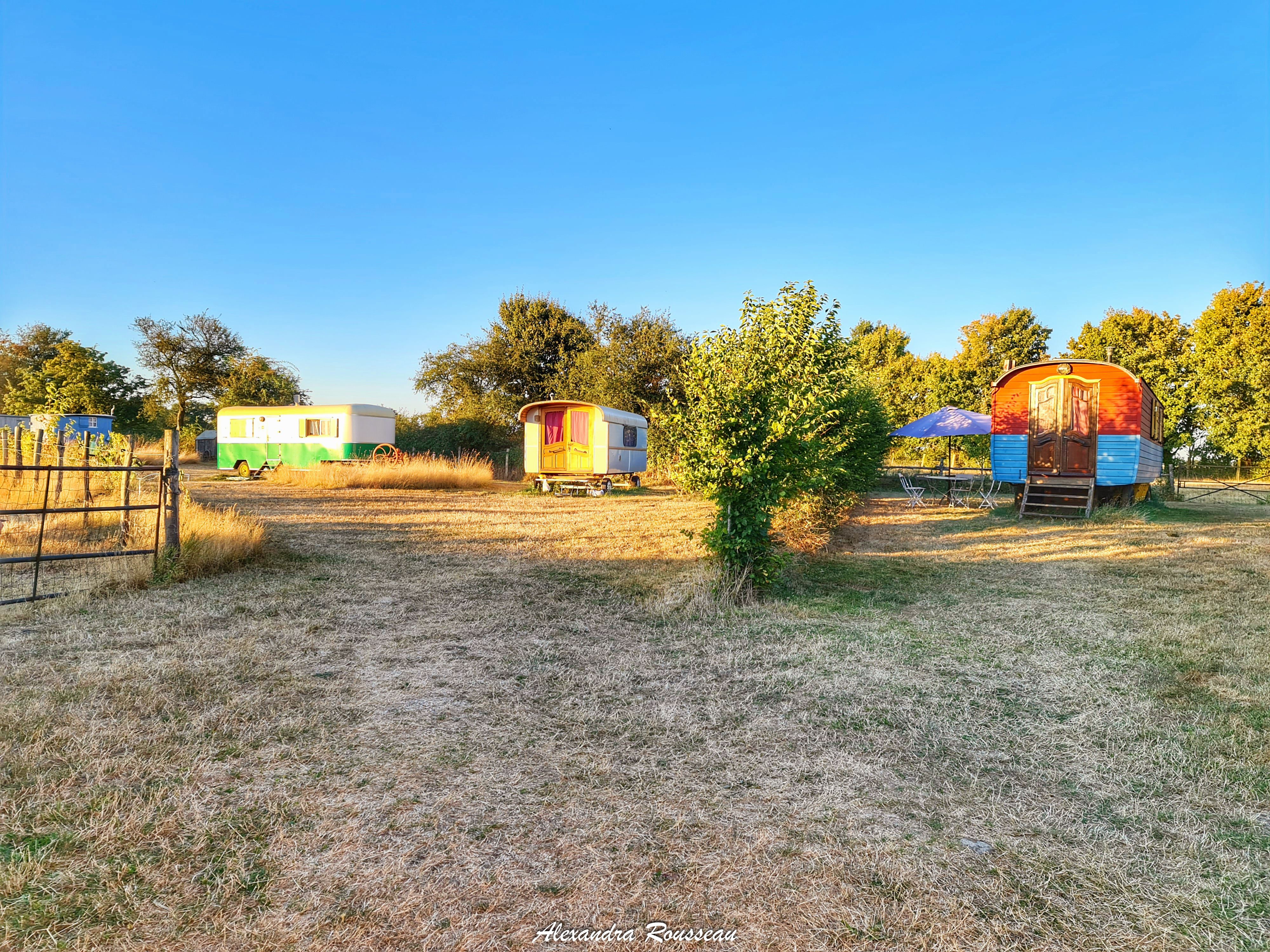 Manoir du Bois Joly - Cabanes de berger, Arcisses - photo 6