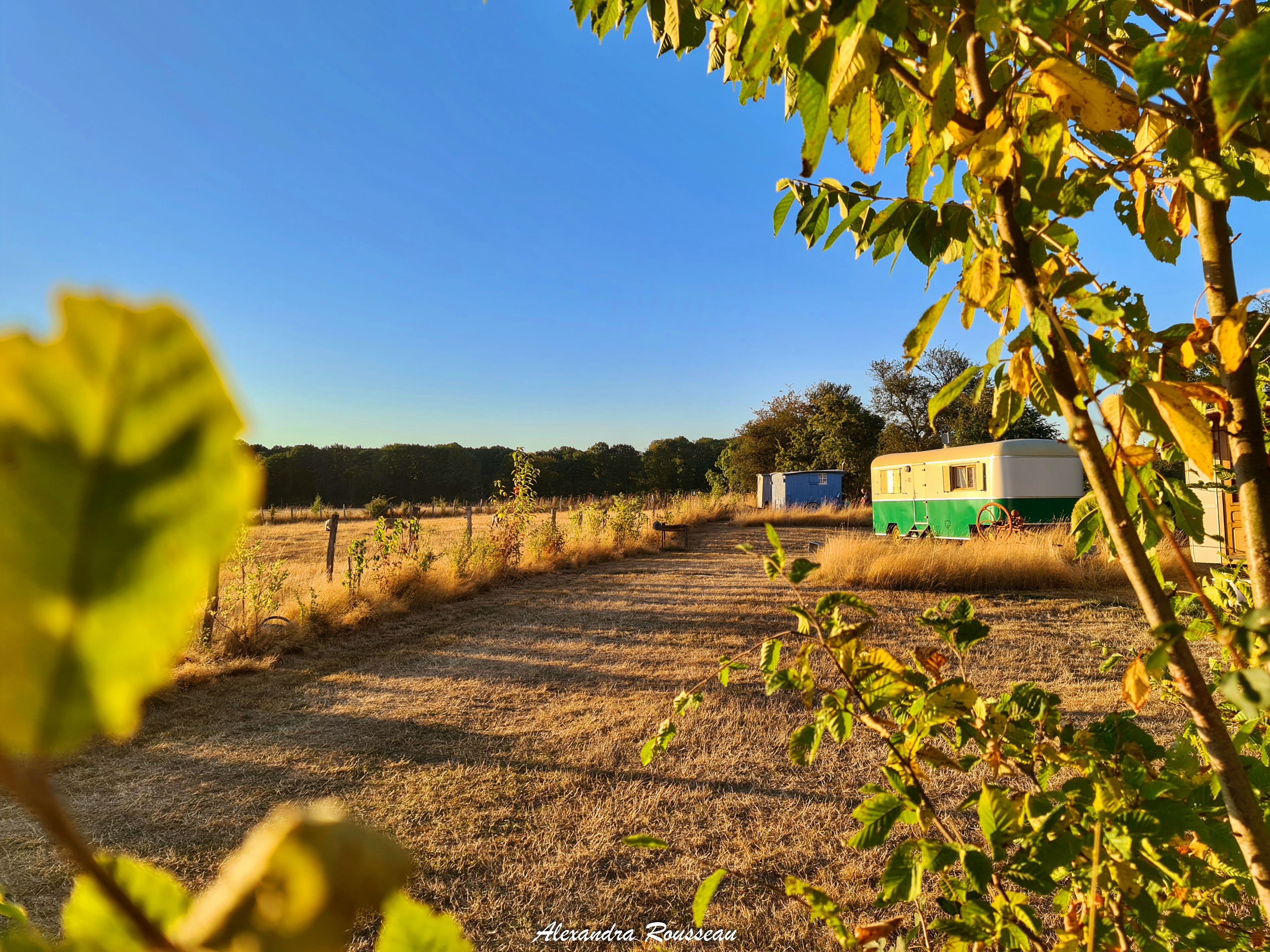 Manoir du Bois Joly - Cabanes de berger, Arcisses - photo 16